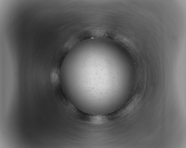 X0000102380432200808081141