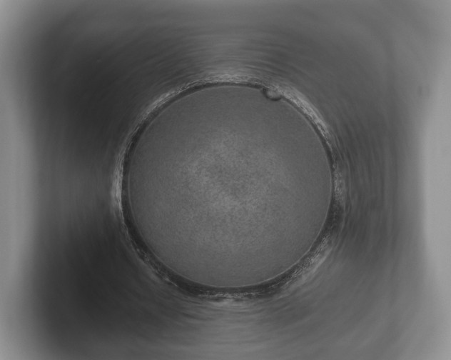 X0000102380434200808081140