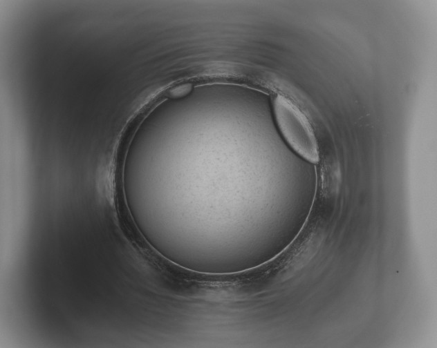 X0000102380436200808081140