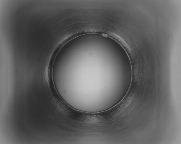 X0000102380439200808081140