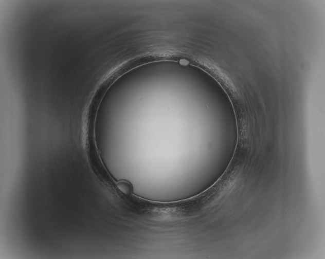 X0000102380440200808081140