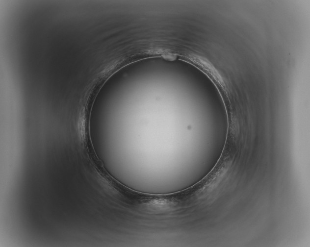 X0000102380441200808081141