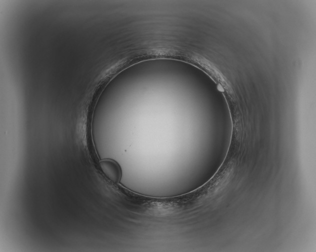 X0000102380442200808081141