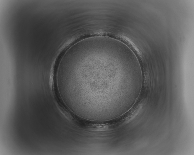 X0000102380443200808081141