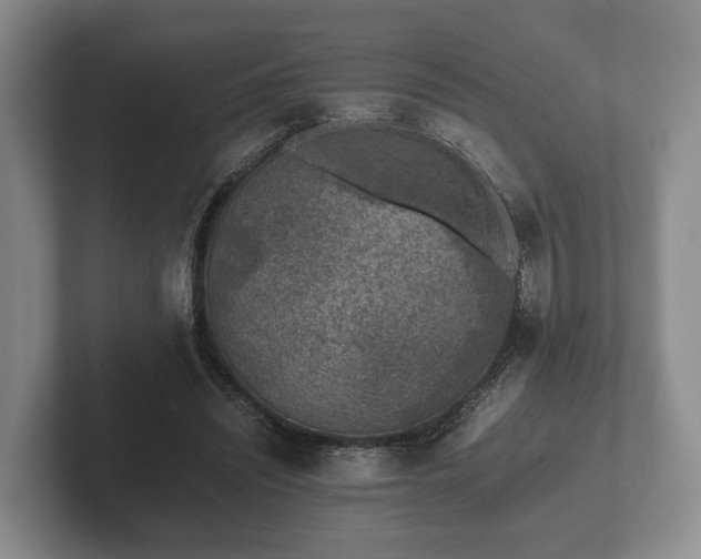 X0000102380444200808081141