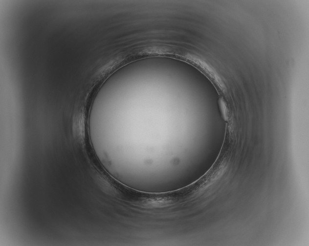 X0000102380445200808081141