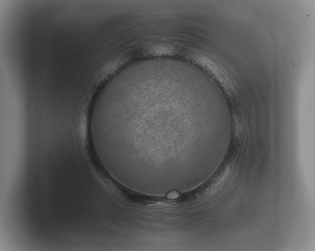 X0000102380447200808081141