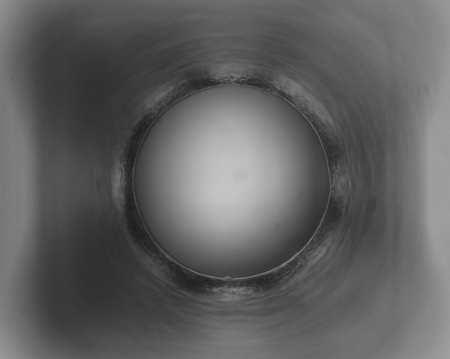 X0000102380448200808081141