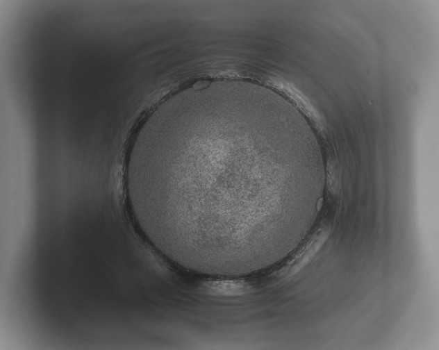 X0000102380449200808081141