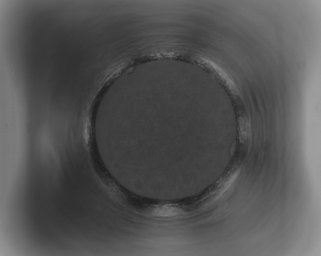 X0000102380451200808081141