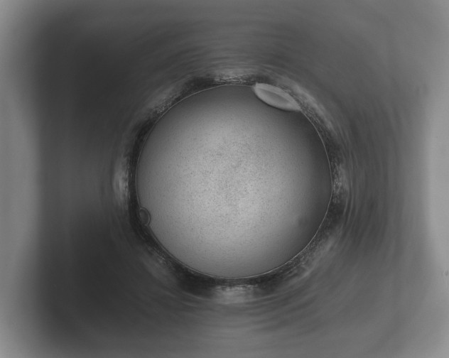 X0000102380452200808081141