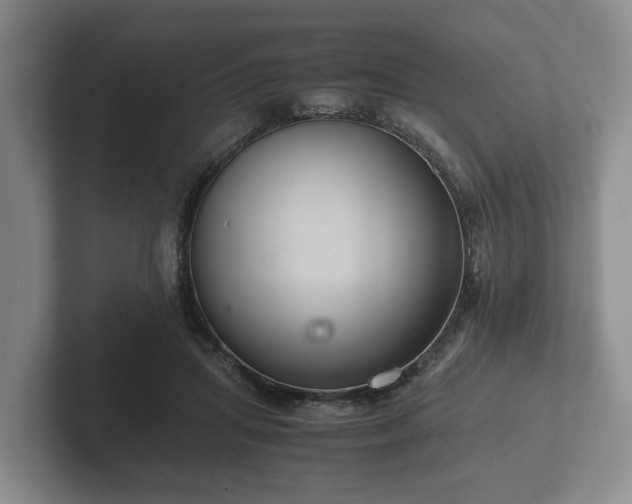 X0000102380455200808081141