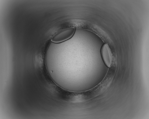 X0000102380456200808081141