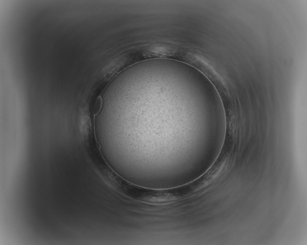 X0000102380459200808081141