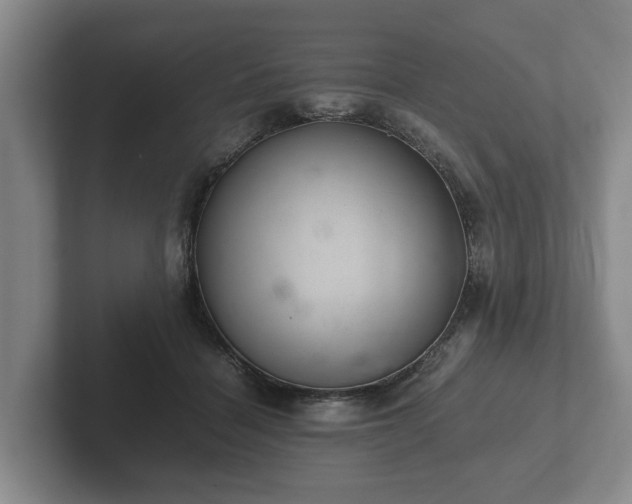 X0000102380460200808081141