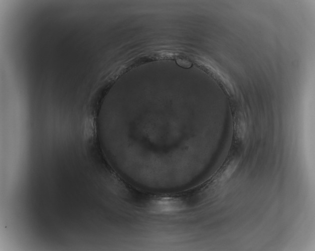 X0000102380467200808081141