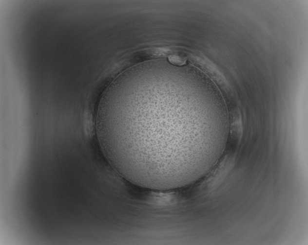 X0000102380469200808081141