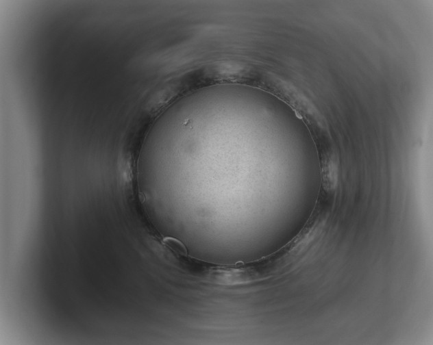 X0000102380472200808081141