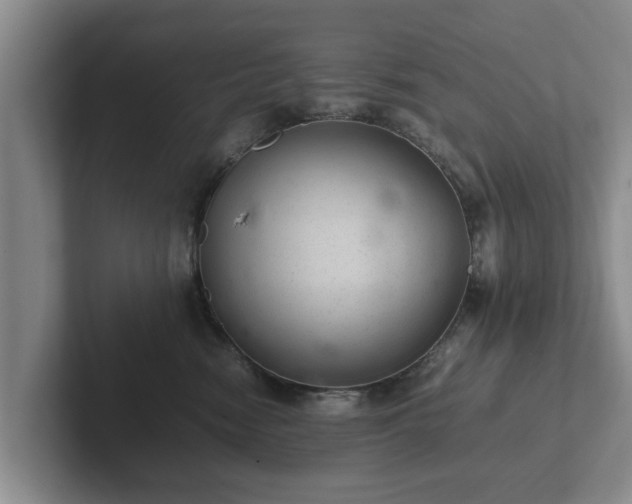 X0000102380474200808081141