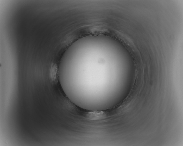 X0000102380480200808081141