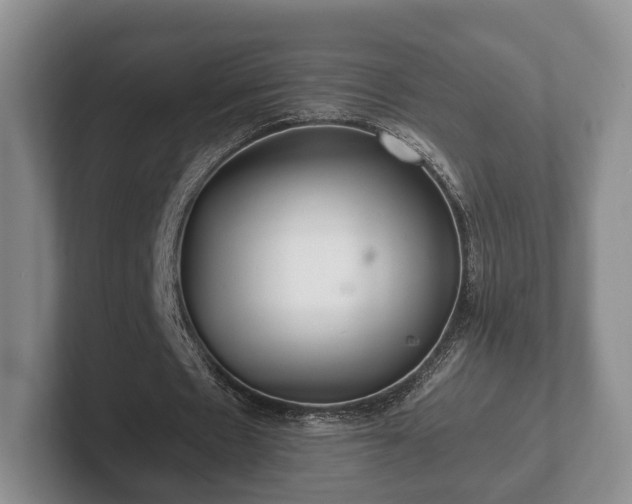 X0000102380481200808081140