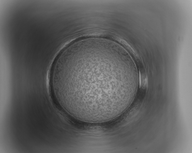 X0000102380483200808081140