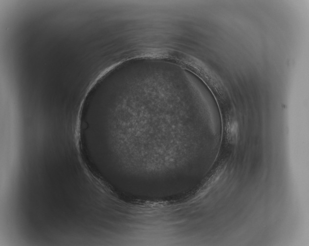 X0000102380484200808081140