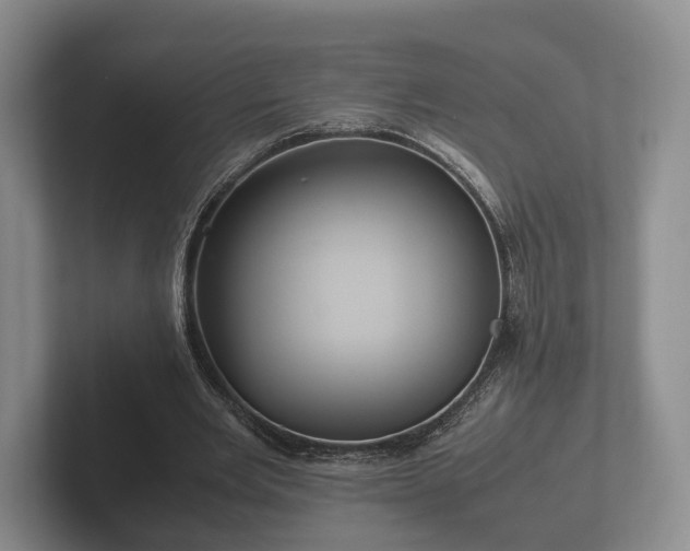 X0000102380485200808081140