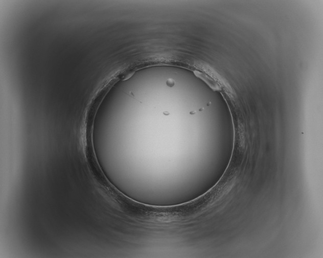 X0000102380486200808081140