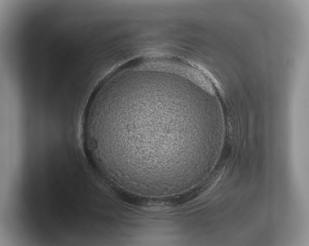 X0000102380487200808081140