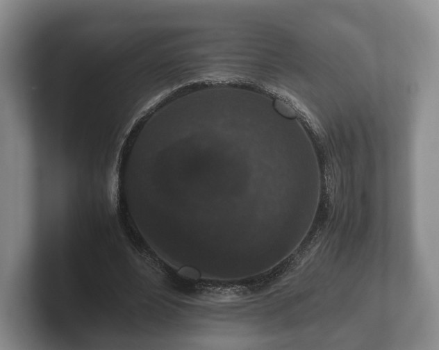 X0000102380488200808081140