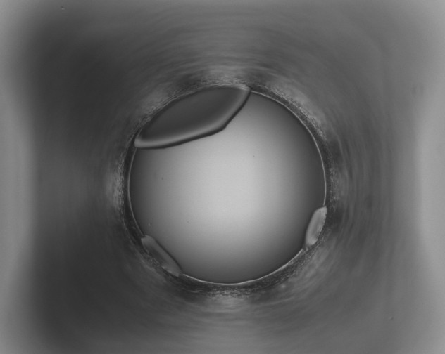 X0000102380489200808081140