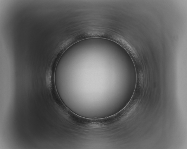 X0000102380490200808081140