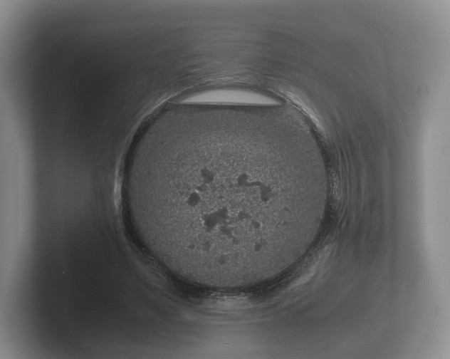 X0000102380491200808081140