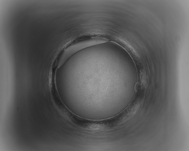 X0000102380494200808081140