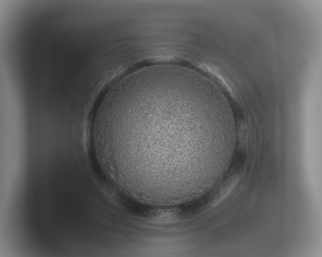 X0000102380495200808081140