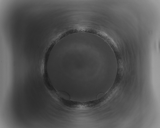 X0000102380496200808081140