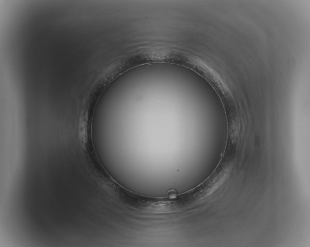 X0000102380497200808081140