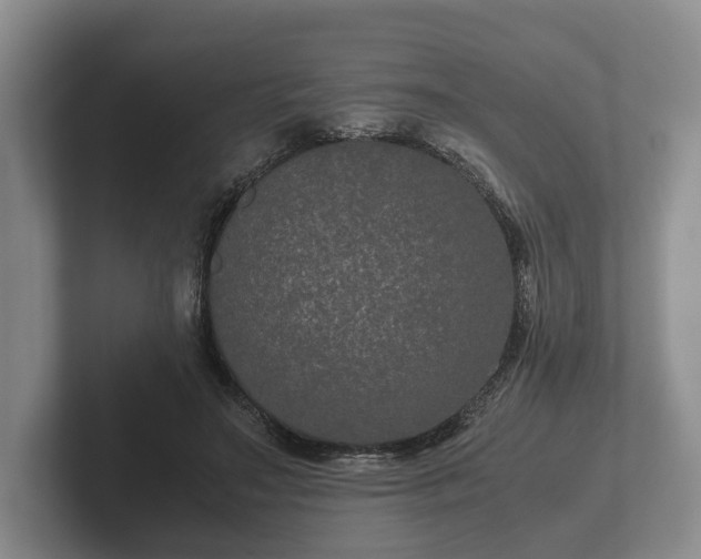 X0000102380499200808081140