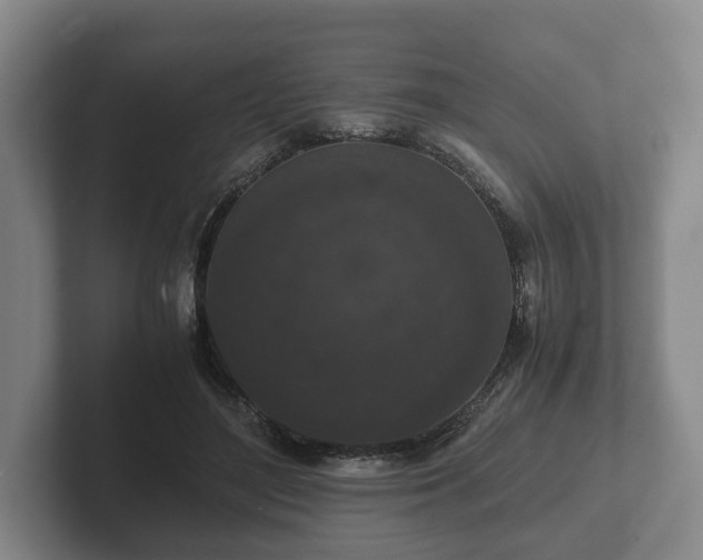 X0000102380500200808081140