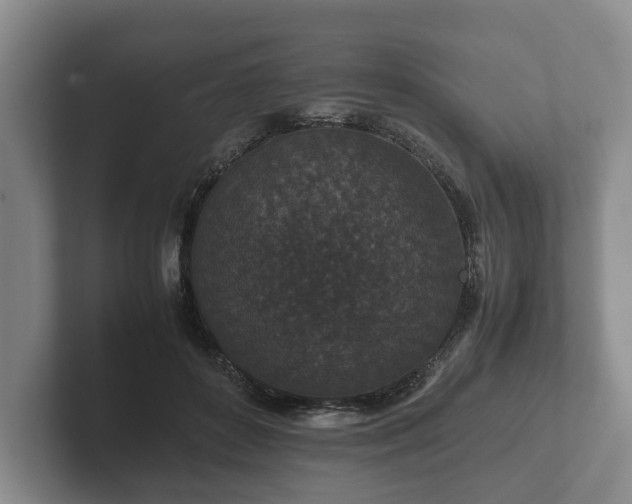 X0000102380504200808081140