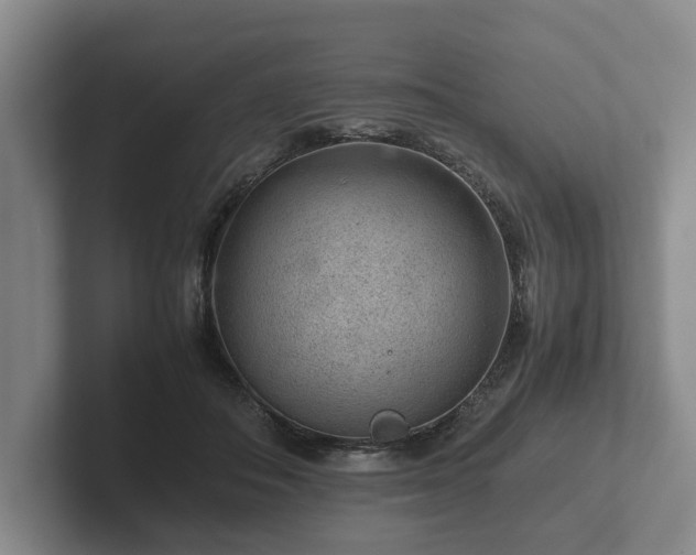 X0000102380506200808081140