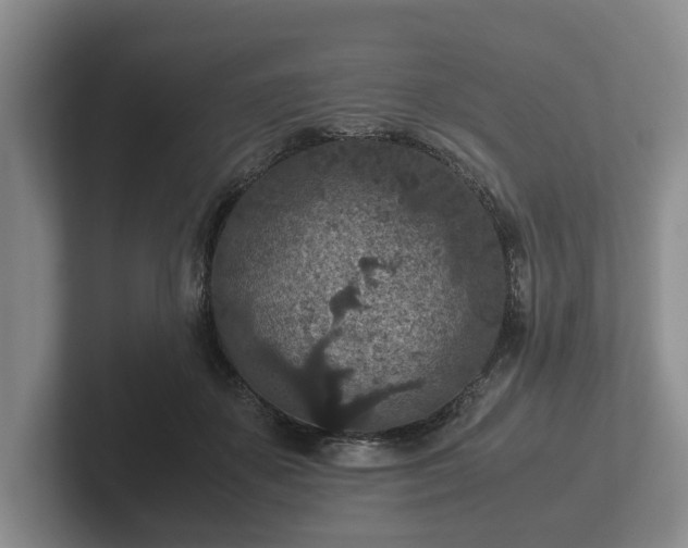 X0000102380507200808081140