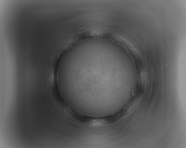 X0000102380508200808081140