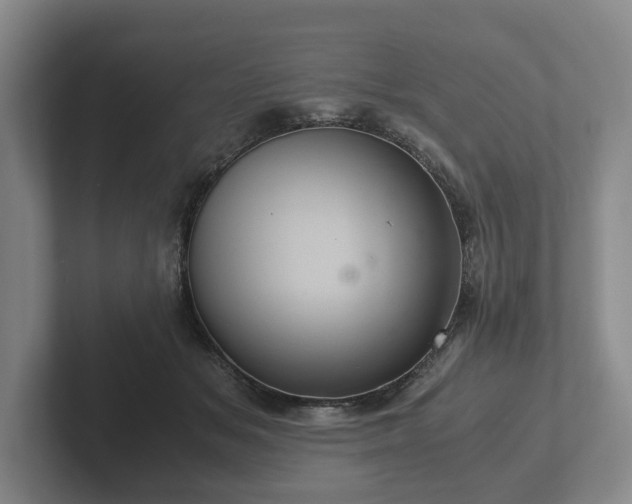 X0000102380509200808081140