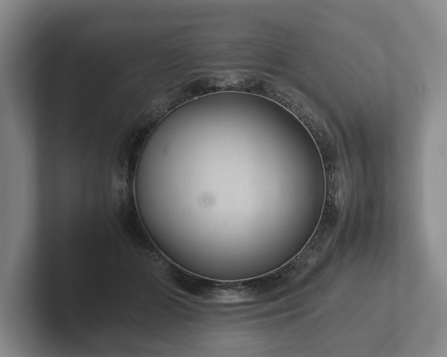 X0000102380510200808081140