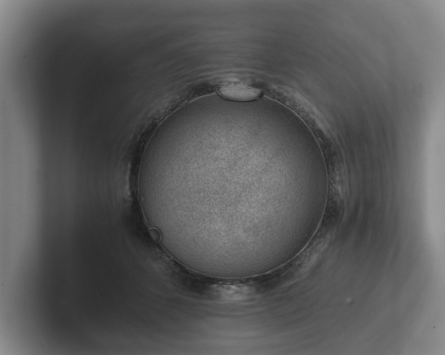 X0000102380512200808081140