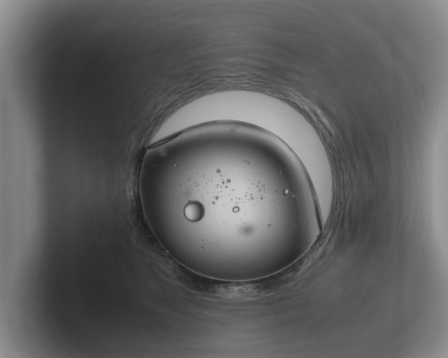 X0000102380517200808081140