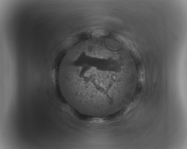 X0000102380519200808081140