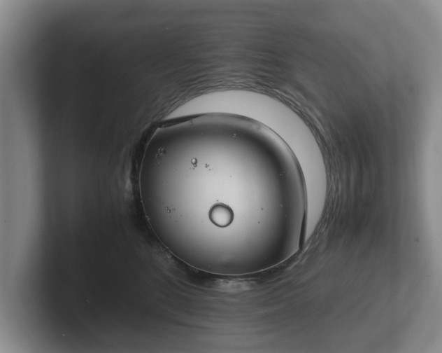 X0000102380520200808081140